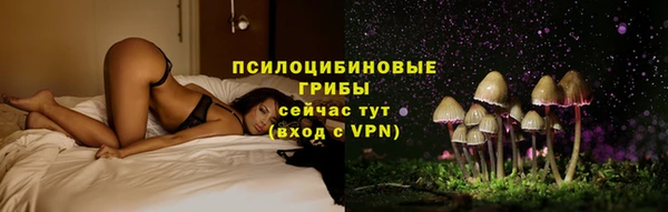 шишки Яранск