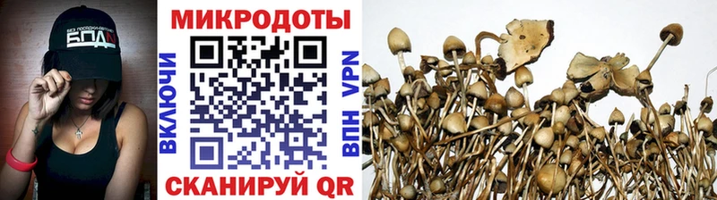 Галлюциногенные грибы GOLDEN TEACHER Агрыз